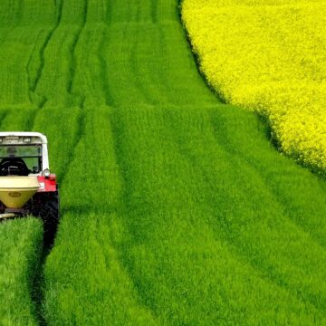 colza-tracteur colza