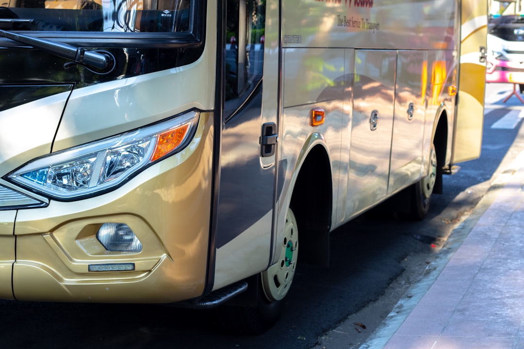 bus blanc et brun
