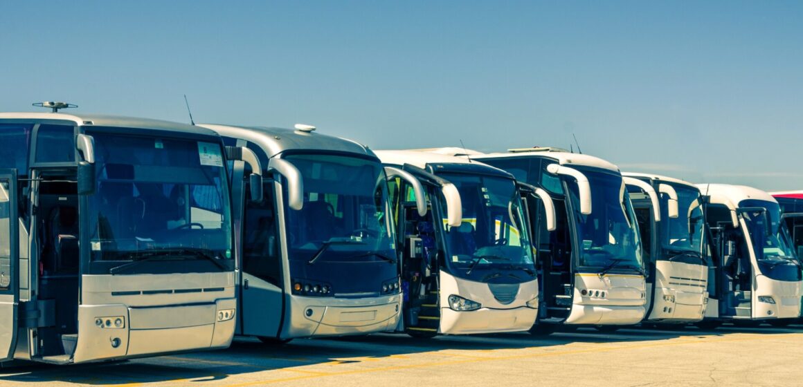 bus Bus touristiques d'affilée