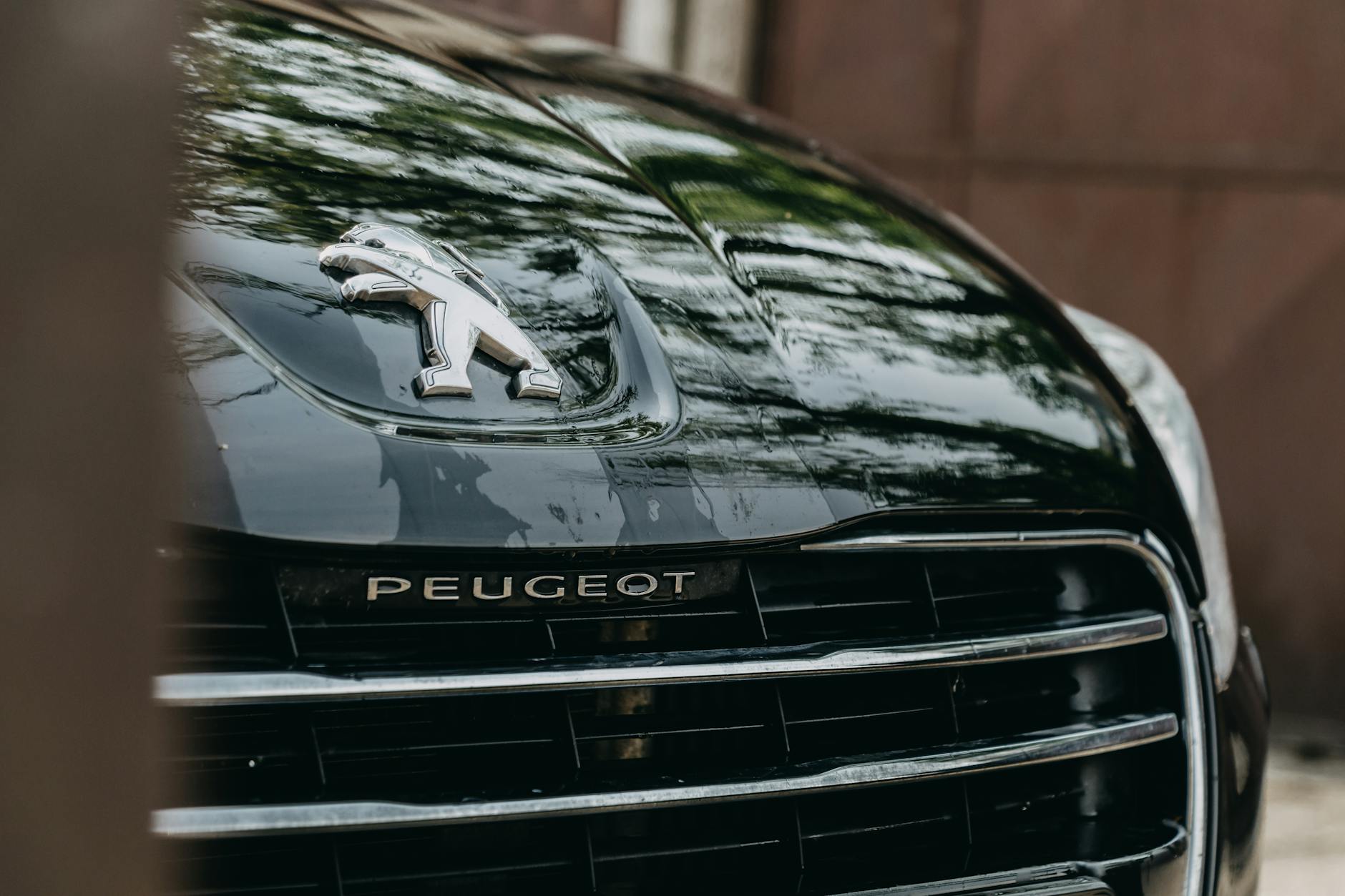 Disponible détaillé d'un capot de voiture Peugeot mettant en vedette le logo brillant et la calandre noire.