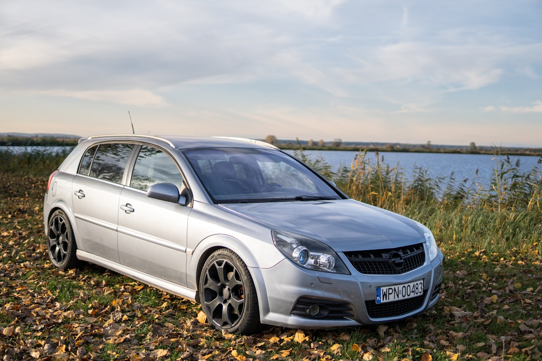 Une voiture en argent garée dans un champ à côté d'un plan d'eau