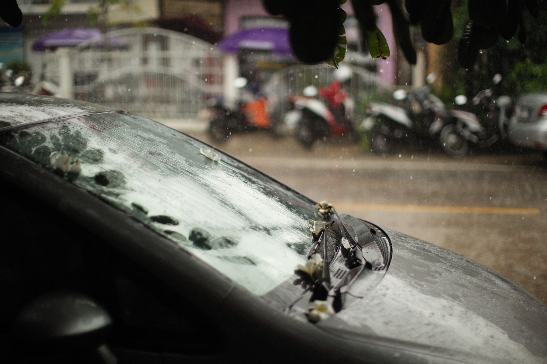 Gros plan sur le pare-brise noir d'une voiture, avec des gouttes de pluie dans une rue pluvieuse.